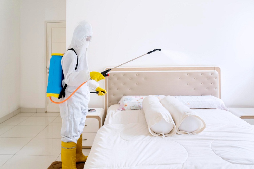 Bed Bug Prevention